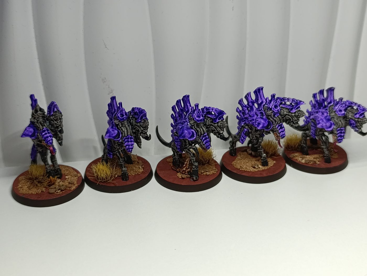 SET TIRANNIDI